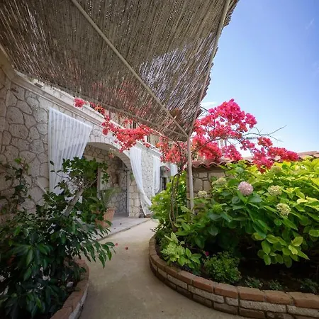 Nobela 2* アラカティ