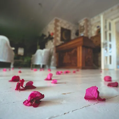 Nobela Hotel 2*
